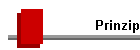 Prinzip